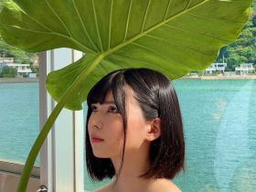 日野莉子(日野りこ)出道作品番号及封面,日野莉子个人简介