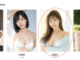 确定了!絵麗奈(绘丽奈)的第三支作品有谱了!
