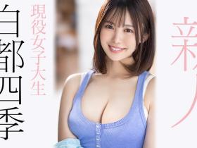 白都四季出道作品番号及封面,白都四季个人简介