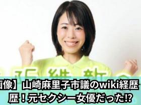 真的假的?这位日本议员不只有F罩杯还拍过AV?