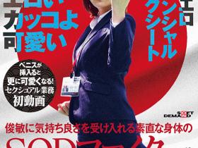 水澄せいら(水澄圣良)作品SDJS-235发布!SOD女子社员「小清水真纪」很会空手道、可说是武林高手