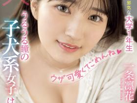 一条凛花出道作品MIFD-477发布!超甜的犬系女子!下半身毛茸茸的她会是最强刺客?