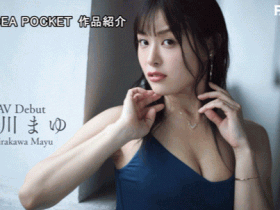 白川真由(白川まゆ)出道作品番号及封面,白川真由个人简介