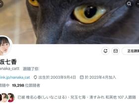 小坂七香的社群帐号回来啦!