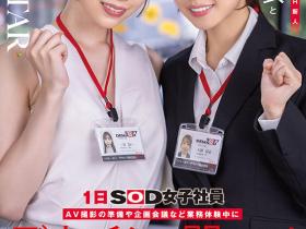 一宮るい(一宫留衣)、天神羽衣共演作品START-475发布!1日女子社员体验!SOD STAR最强新人共演!