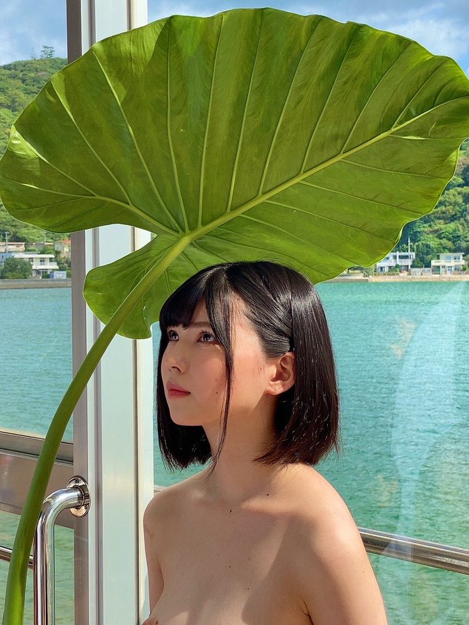 日野莉子(日野りこ)出道作品番号及封面，日野莉子个人简介-图片1