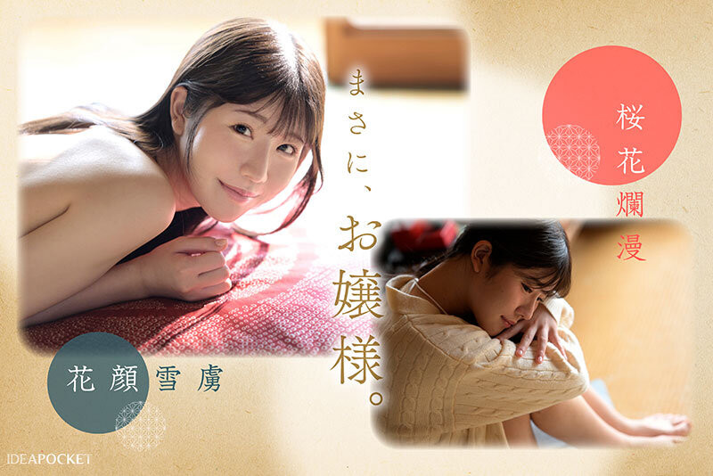 坂井美桜(坂井美樱)出道作品IPZZ-731发布！出身上流却很下流！IP社四大新人的第三位是H罩杯的疗癒女神！-图片7